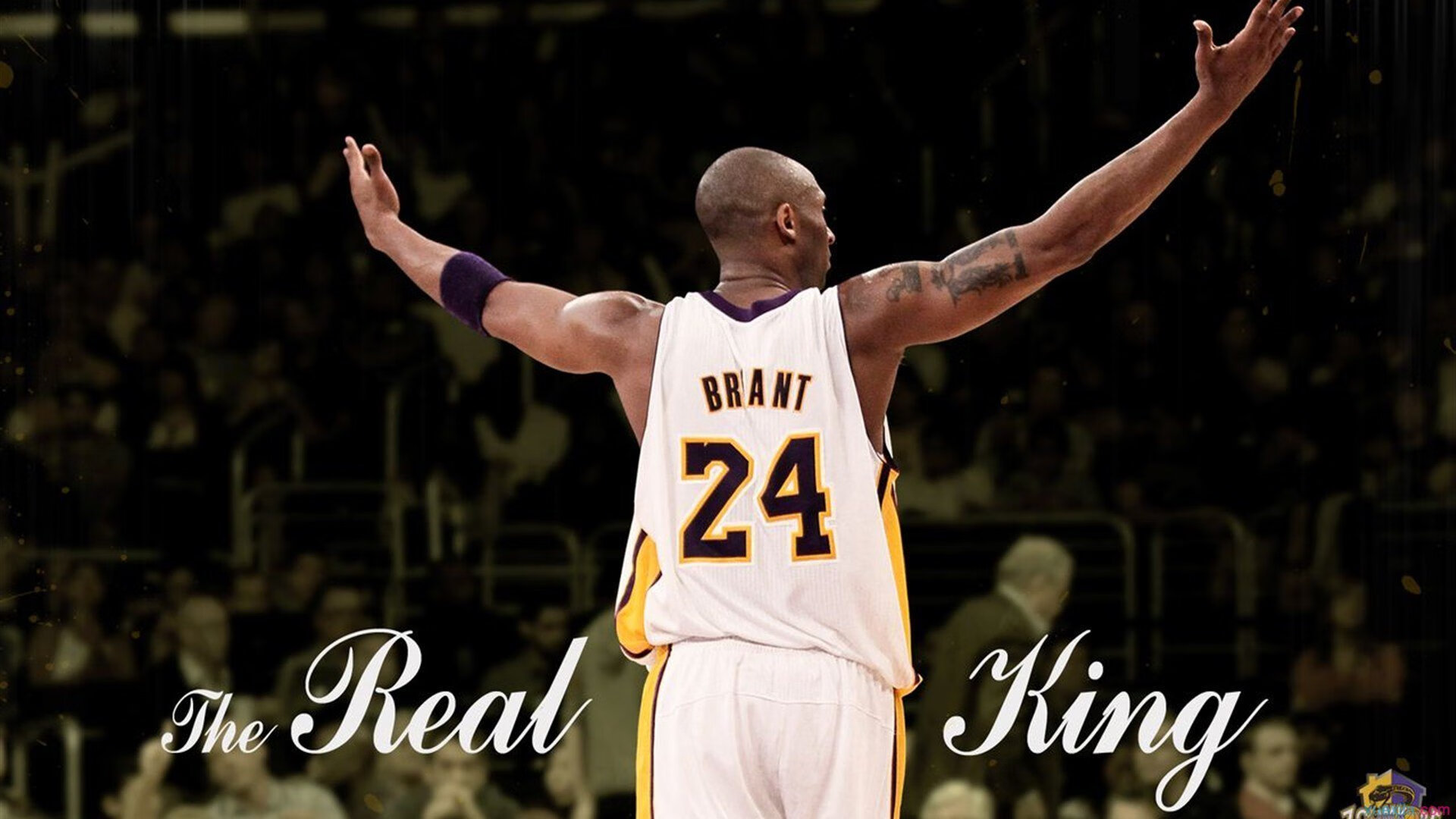 EDG选手伤病恢复良好，edg职业选手