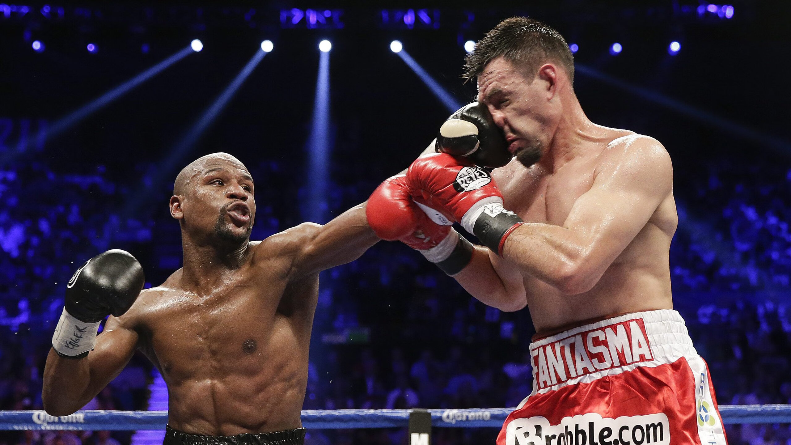 LCK选手转会合同细节披露，lck 转会