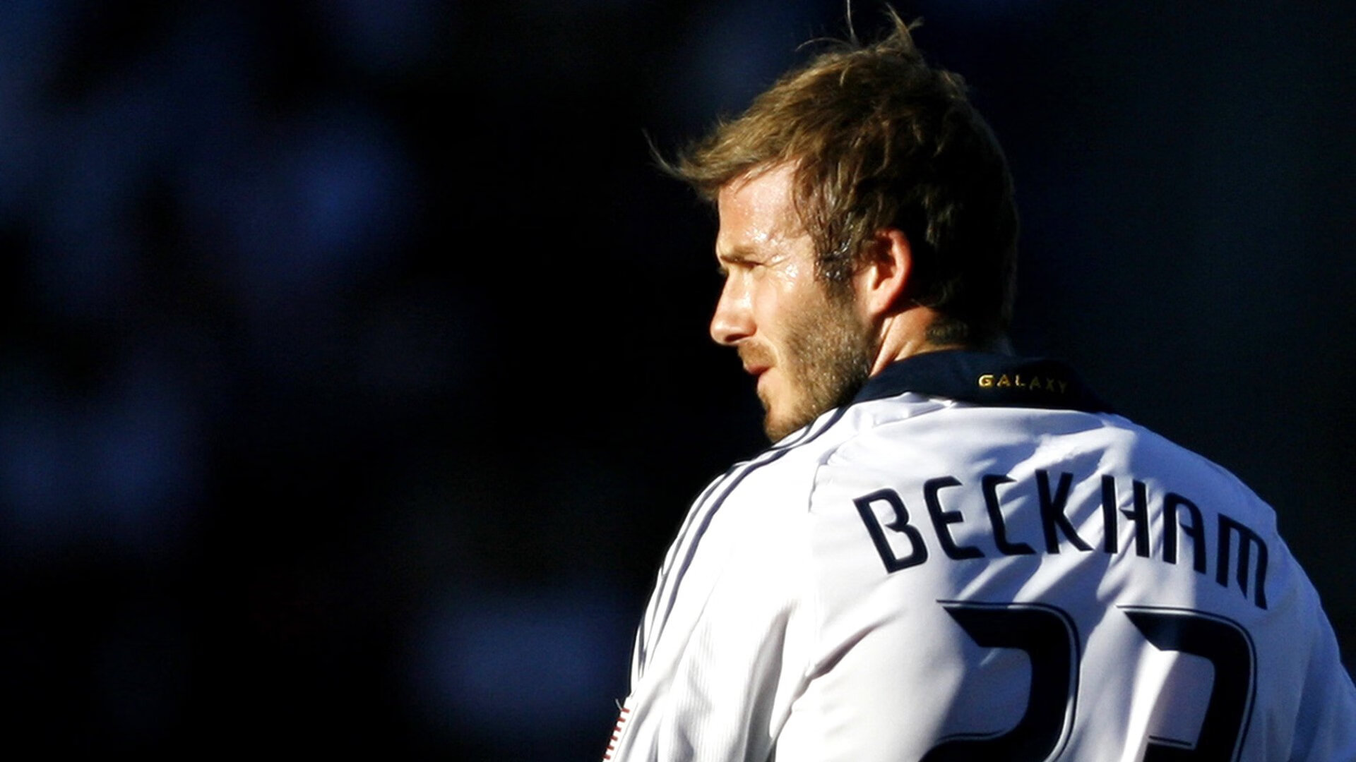 _野外探索与追逐：勇者的荒野旅行_，荒野探险之旅