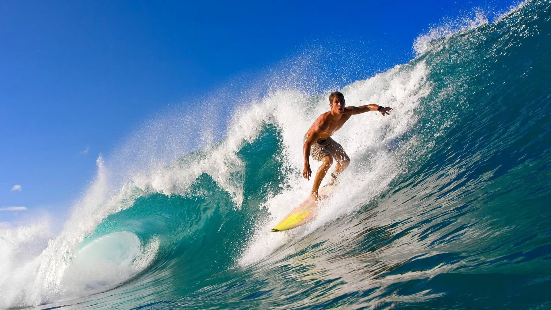 潜力无限：未来“超级巨星”的成长轨迹揭秘，未来巨星是什么意思